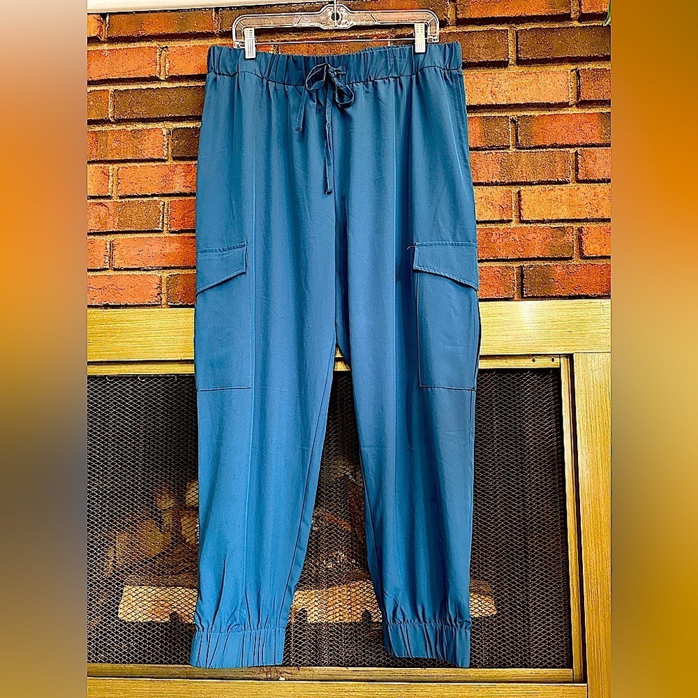 🛍️SoHo Apparel 90% Polyester 10% Spandex blue Jogger with new condition.
